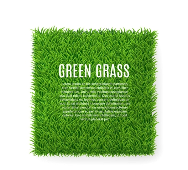方形绿色草坪矢量图片