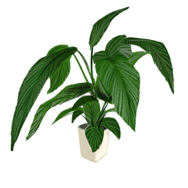 手繪綠色植物盆栽可商用元素