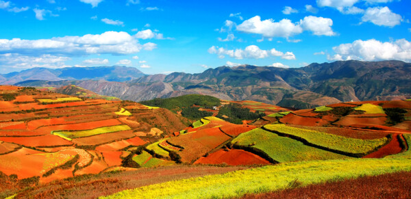 東川紅土地圖片