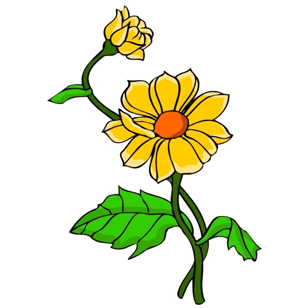 花卉古典插畫