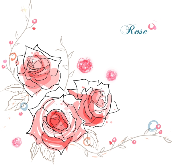 玫瑰花