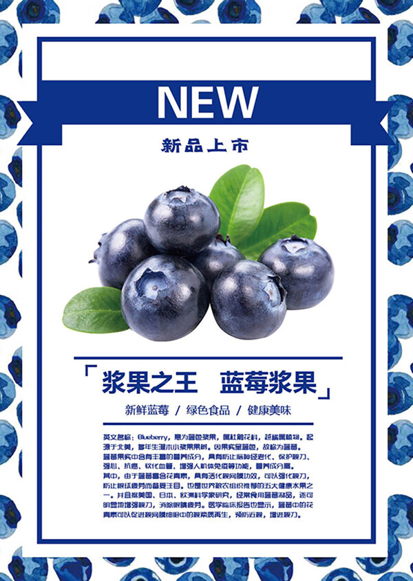 蓝莓新品上市海报