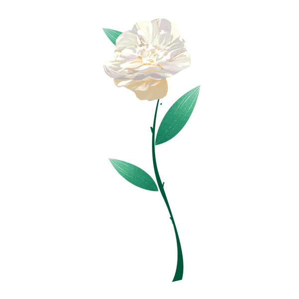 婚禮水彩花卉PNG素材