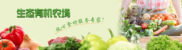 蔬菜banner生鮮banner廣告