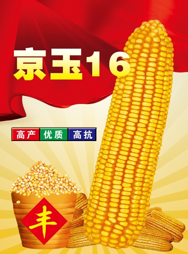 京玉16玉米种宣传单图片