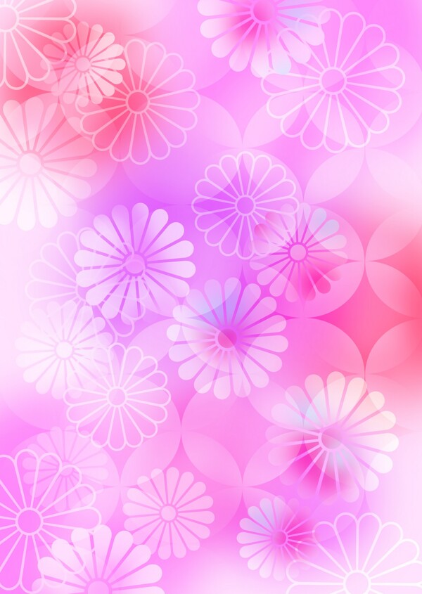 和風(fēng)菊花背景