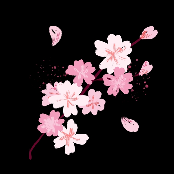 盛开的粉色樱花插画