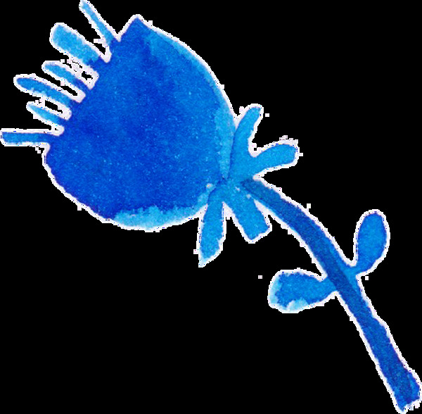 水藍花束卡通透明素材