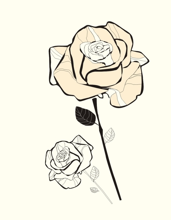 玫瑰花
