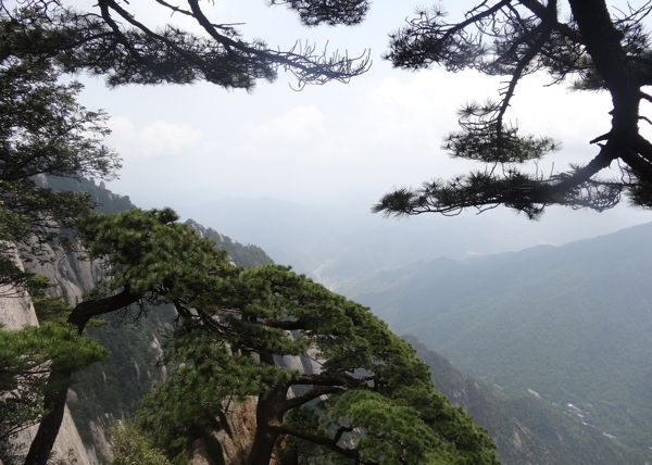 黃山
