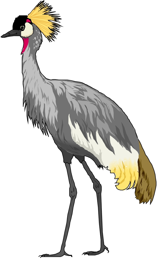 矢量逼真鳥類動(dòng)物223