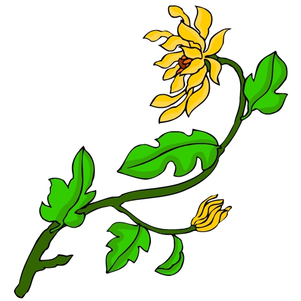 花卉古典插畫