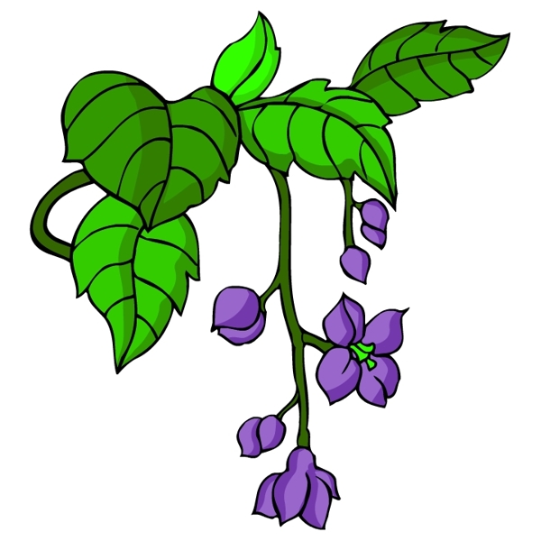 花卉古典插畫