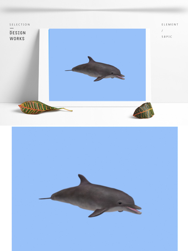 海洋海豚3d模型