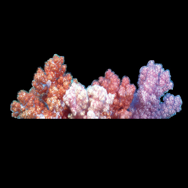 海底五彩珊瑚png元素