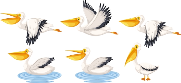 卡通鳥