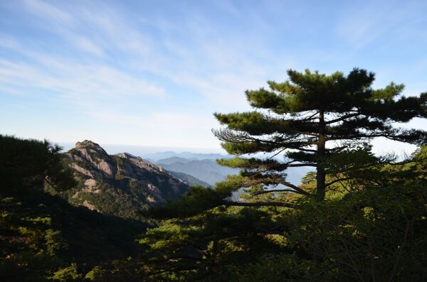 黃山早晨圖片