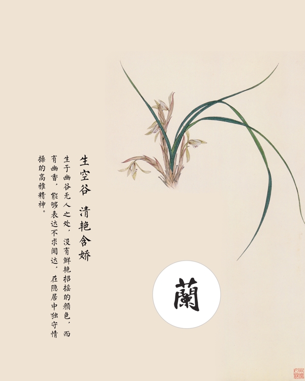 君子蘭