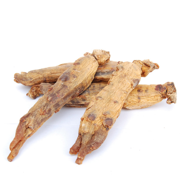 高麗參圖片