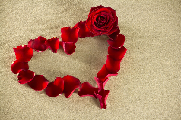 红色心形玫瑰花图片