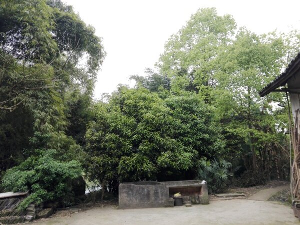 農(nóng)家小院