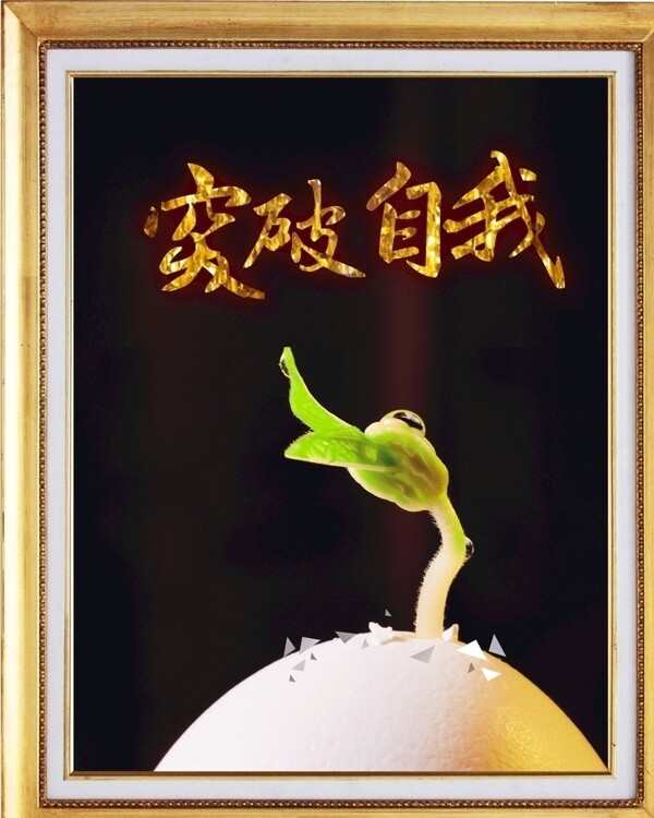 企業(yè)文化