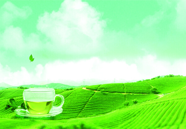 茶葉