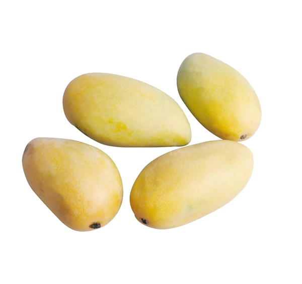 數(shù)個(gè)芒果