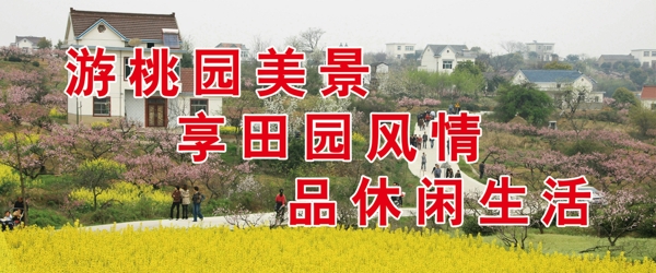 桃花節(jié)圖片