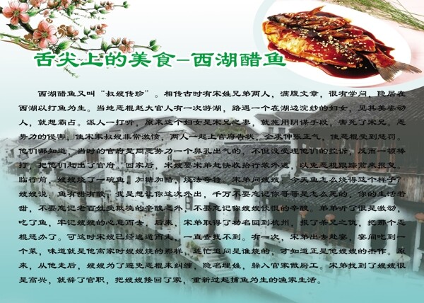 舌尖上的美食西湖醋魚圖片