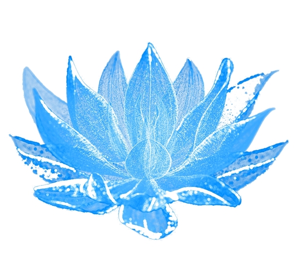 蓝色半透明水莲花朵效果元素