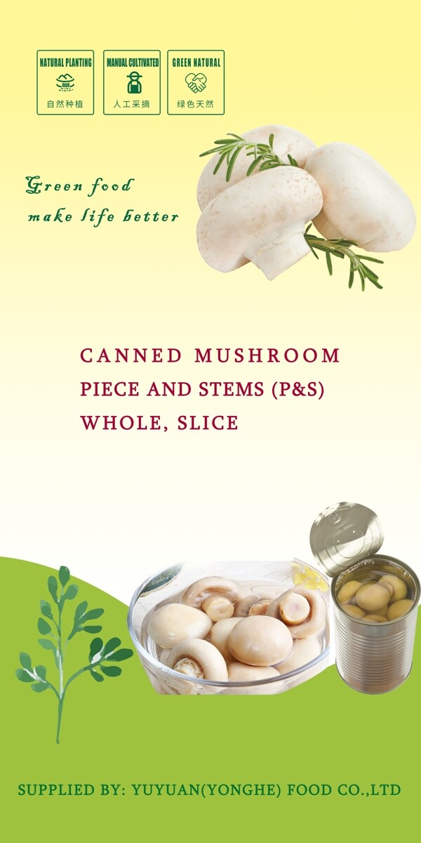 食品广告蘑菇海报模板
