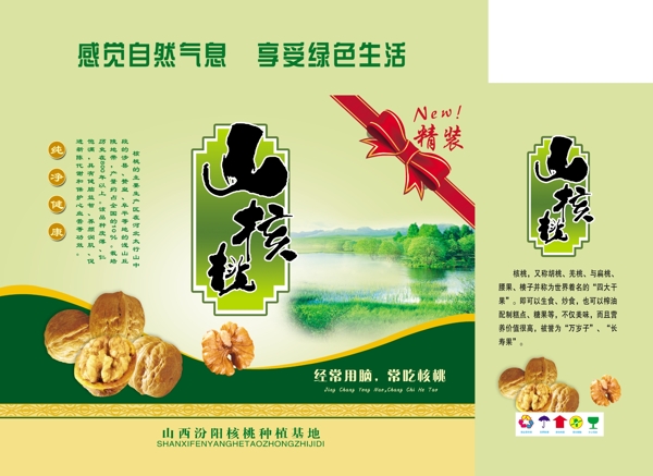 山核桃圖片