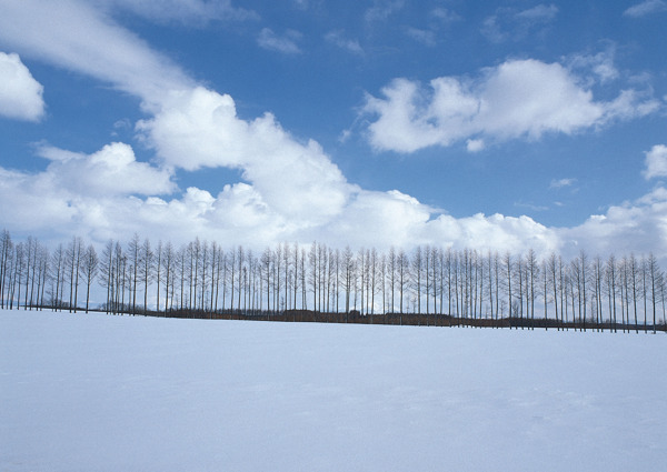 冰天雪地