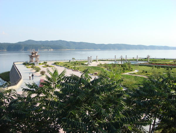 樹植物水風(fēng)景