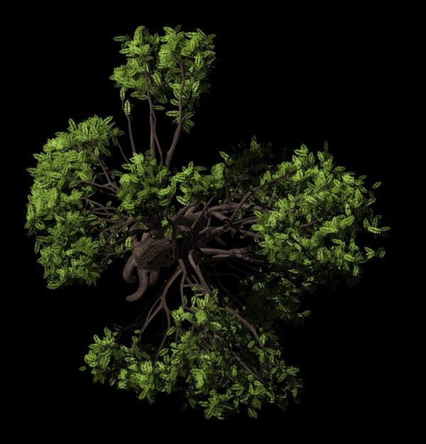 高質(zhì)量鳥瞰商業(yè)素材植物001圖片