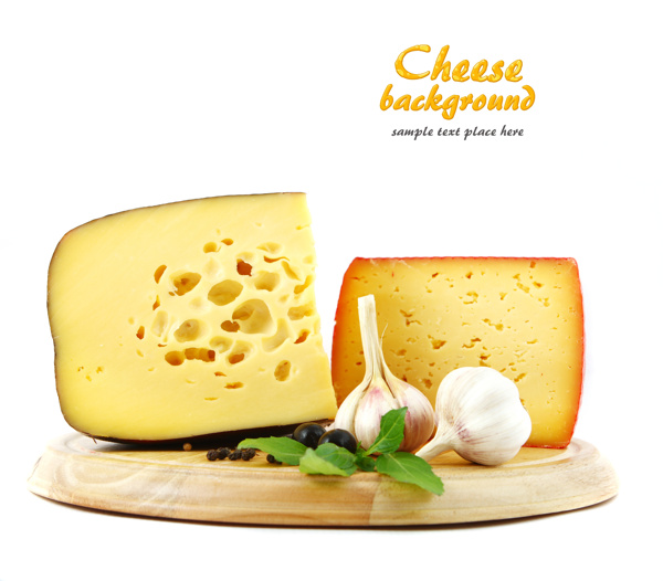 奶酪14图片
