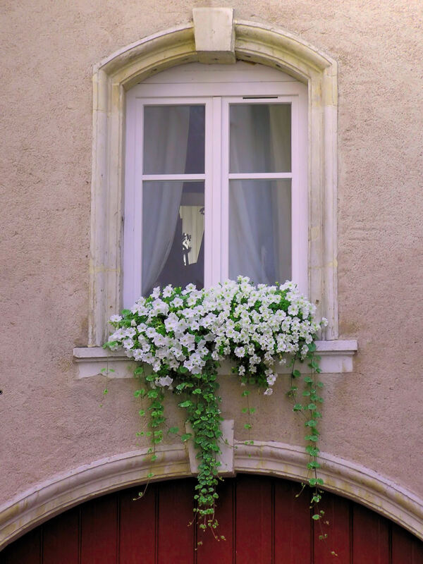 窗户与花台图片