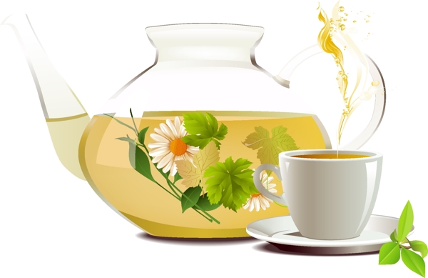 矢量素材泡好的綠茶