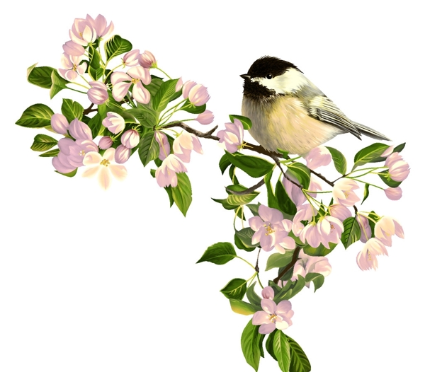 移門花鳥圖案圖片