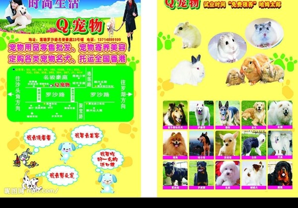 寵物店宣傳單圖片