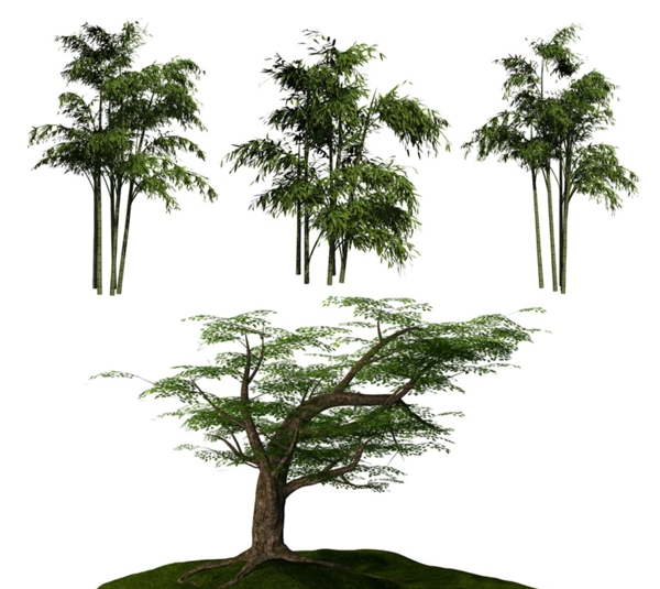 3D树素材