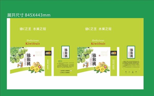 獼猴桃手提袋