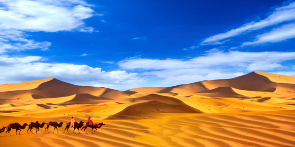 蓝天白云沙漠骆驼西域