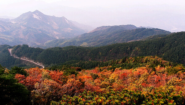 秋到大別山圖片