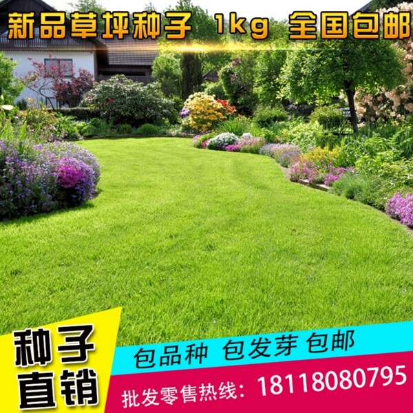 園藝的主圖
