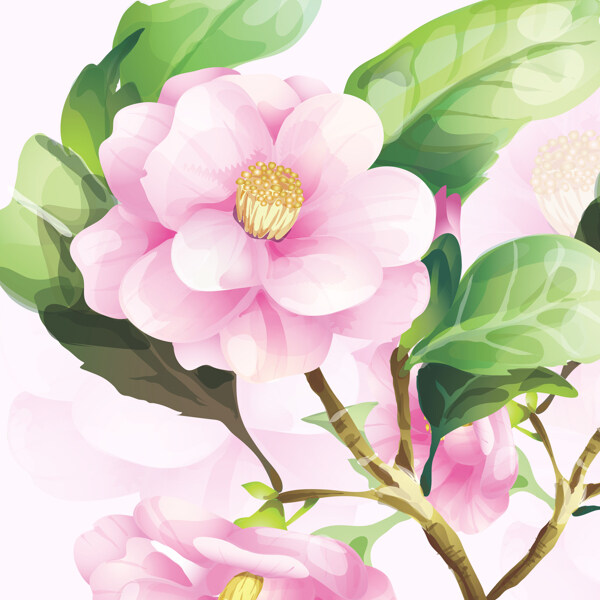 水彩花卉