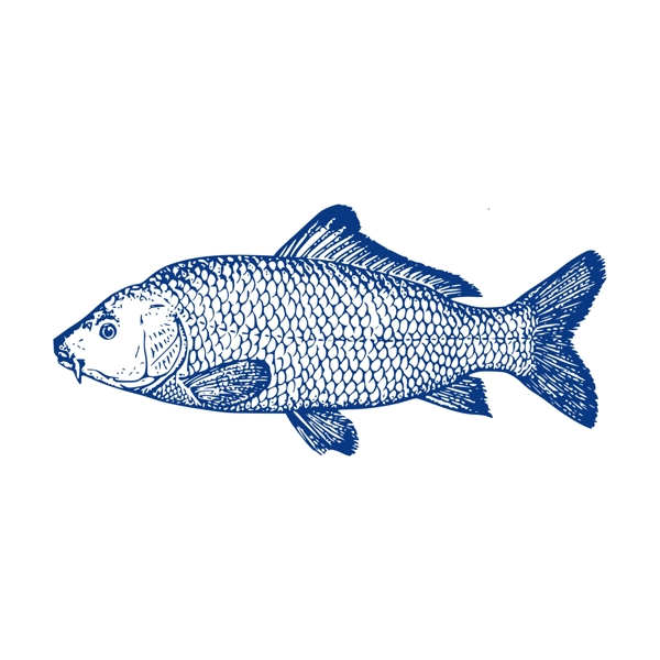 手绘蓝色鱼动物素材