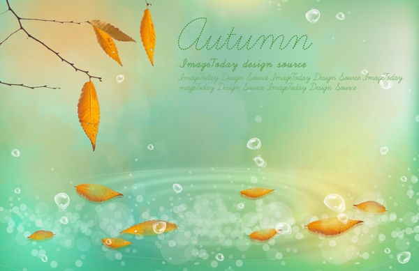 秋天色彩枝叶水珠水纹水中落叶精美艺术相框模版
