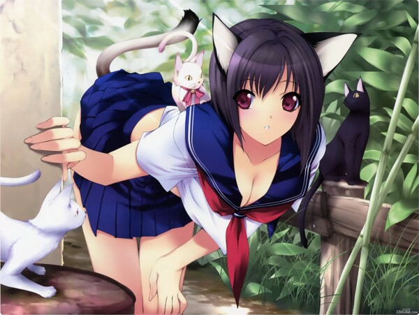 貓女圖片